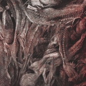 The Departed / Demoraliser Split
