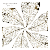 Wretched Soul by The Pineapple Thief