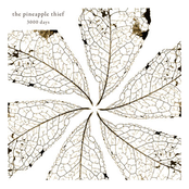 137 by The Pineapple Thief