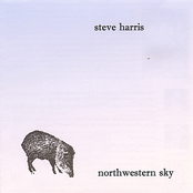 Steve Harris: Northwestern Sky