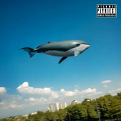 Pięknie płyniesz album cover