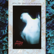 Burnt With Water by Skinny Puppy
