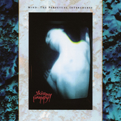 Antagonism by Skinny Puppy