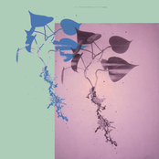 The music is a curse! Emotions are a burden!