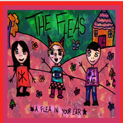THE FLEAS A FLEA IN YOUR EAR
