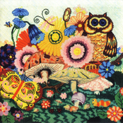 The Owl by Silver Apples