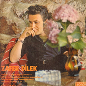 Zafer Dilek
