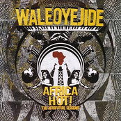 Afrofuture by Wale Oyejide