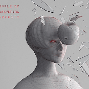 Apple Of Universal Gravity