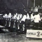 Don Catelli And The All Stars