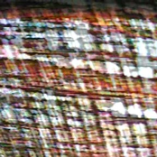 Another Hard Day In The Jungle