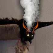 no stylist crimewave