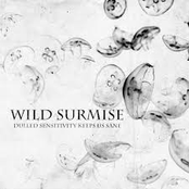 wild surmise