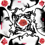 They're Red Hot by Red Hot Chili Peppers