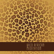 Wild African Meditation: Tribal Chants for Payer, Healing Meditation, Awakening and Spirituality