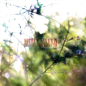Through a Drop, Refracted
