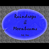 Raindrops & Moonbeams