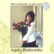 Dni czlowieka sa jak trawa