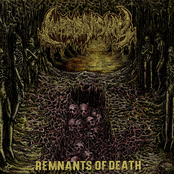 Morbid Visionz: Remnants of Death