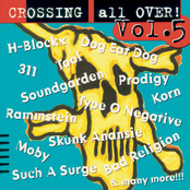 Crossing All Over!  Vol. 5