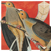 Morningsiders: Pollen