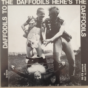 Daffodils to the Daffodils Here's the Daffodils