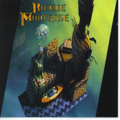 Wish In One Hand by Ronnie Montrose