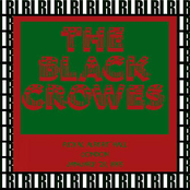 Shake Your Money Maker by The Black Crowes