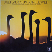 Sunflower by Milt Jackson