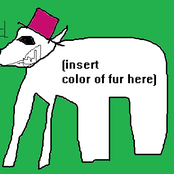 DECENTRALIZING DOLICHOTIS