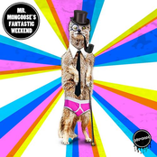 Mr Mongoose's Fantastic Weekend