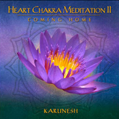 Heart Chakra Meditation II