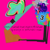 ACAB (Amami Come Ameresti Bambi) [Lavatrice remix]