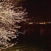 No Country Is An Island