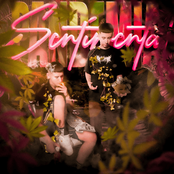 Pandemia Sentimental