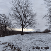 Grey Skies