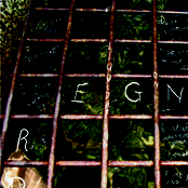 liquidation on swans