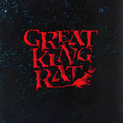 Great King Rat