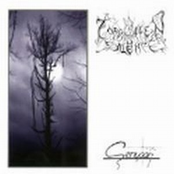 Senyaan (...of Growing Madness)