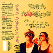 A Guide to the Health Issues Affecting Rescue Hens