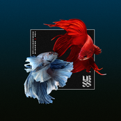 SSXUB EP