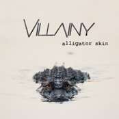Alligator Skin