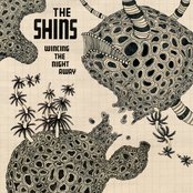 The Shins - Wincing the Night Away Artwork