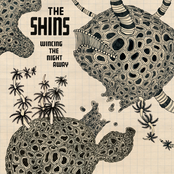 The Shins: Wincing the Night Away