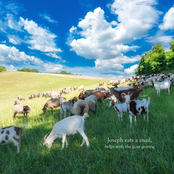 Helps with the goat grazing