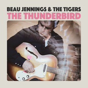 The Thunderbird