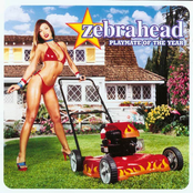 All I Need by Zebrahead