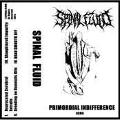 Primordial Indifference Demo