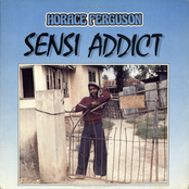 Sensi Addict