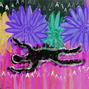 Apparition Rearranged